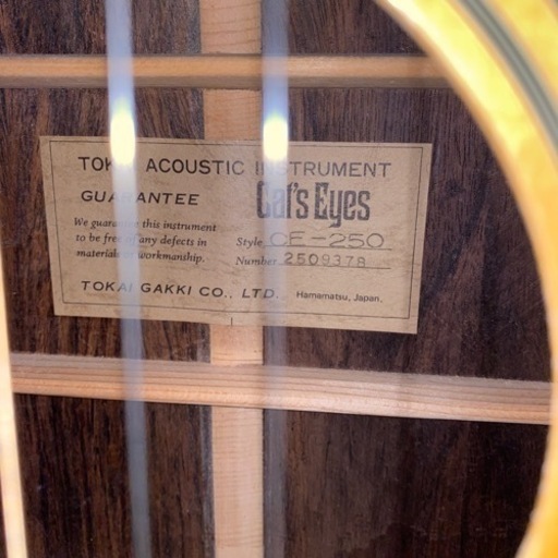 Cats Eyes  CE-250 アコースティックギター