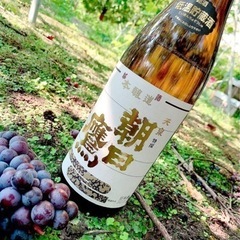 スチューベン 贈答品 1箱(2キロ)日本酒のアテに💕引き取り限定価格