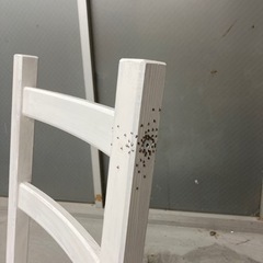 IKEA IVAR 白い椅子の画像