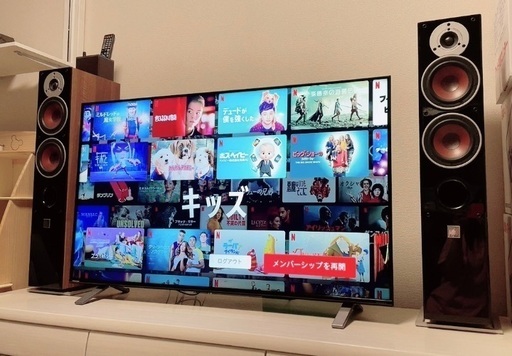 東芝 TOSHIBA 4K 液晶テレビ　REGZA 50C350X