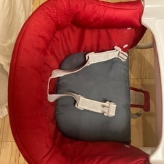 イングリッシーナ　ファストの画像