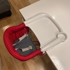 イングリッシーナ　ファストの画像