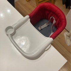 イングリッシーナ　ファストの画像