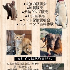 イヌ＆ネコ譲渡会