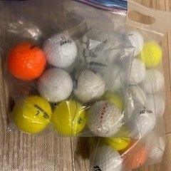 決定progicalgolfキャディバッグ  ロストボールの画像