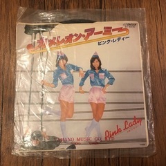 カメレオン・アーミー/ピンク・レディー