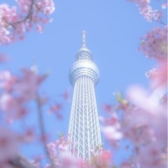グル募集中