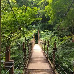 高尾山へ一緒に行きませんか？