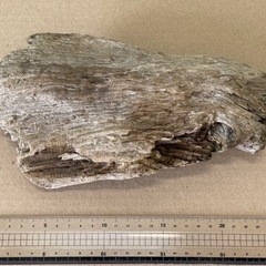 流木 詰め合わせ インテリア 爬虫類 止まり木 アクアリウム ハンドメイド 素材 材料の画像