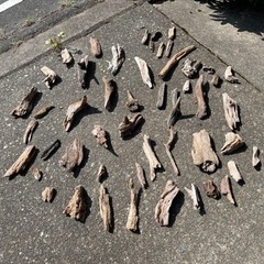 流木 詰め合わせ インテリア 爬虫類 止まり木 アクアリウム ハ...