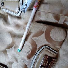 【最終値下げ中！】COACH コーチ チェーン ハンドバッグ 革 布の画像