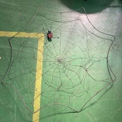 ● クモの巣、ハロウィングッズ、直径およそ104センチ