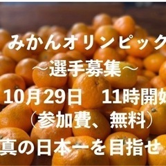 【キッチンカー募集】有田市にて出店料無料