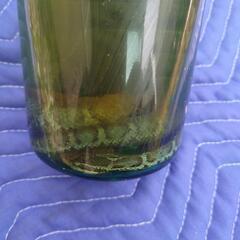 マムシ酒の画像