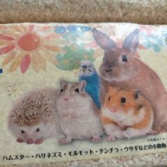 ハムスター　モルモット　ウサギ　ふんわりベッドの画像