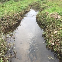ガサガサしませんか❓