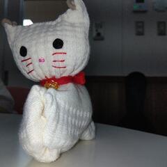 猫の洗濯バサミ