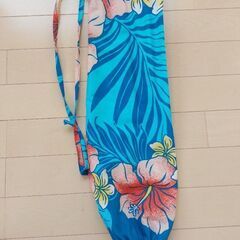 パウスカートケース②