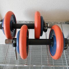 【完売御礼】 ダンベル 10kg× 2の画像