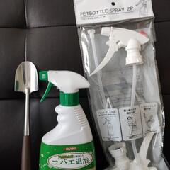 【非対面対応】観葉植物育成セット
