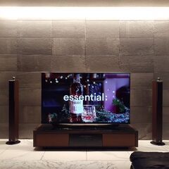 65型4K液晶テレビ（LG）