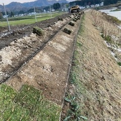 9月20日〜刈和野地区での芝張り作業員募集の画像