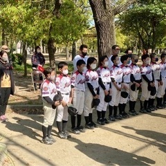 選手募集‼︎硬式少年野球チーム・大阪なみはやリトルリーグの画像