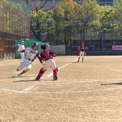 選手募集‼︎硬式少年野球チーム・大阪なみはやリトルリーグの画像