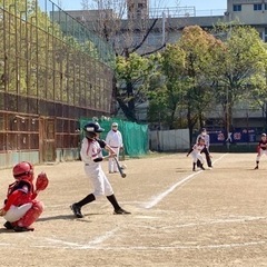 選手募集‼︎硬式少年野球チーム・大阪なみはやリトルリーグの画像