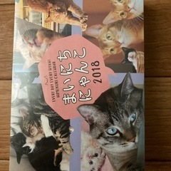 まいにちにゃんこ2018