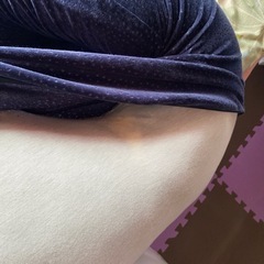 抱き枕　中古美品の画像