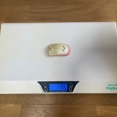 小型ペット用 体重計の画像