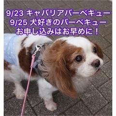 キャバリア✖️バーベキュー　犬好きバーベキュー