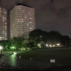 川口　夜ピクニック🧺🌃　（ラインオプチャ有!!）