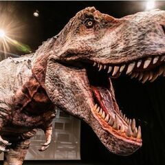 単発バイト】ロハスフェスタ東京2022イベントスタッフ（１０月2日（日））の画像