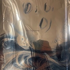 マドンナ写真集の画像