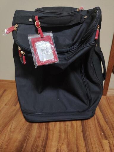 【引渡し完了❣️】キャリーバッグ  旅行  機内持ち込み