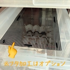 ヨーロッパイエコオロギ 成虫ミックスサイズ 中型ケース オプション可能の画像