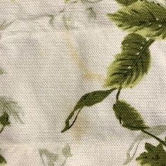 【値下げしました】ランチョンマット　植物柄　2枚セットの画像