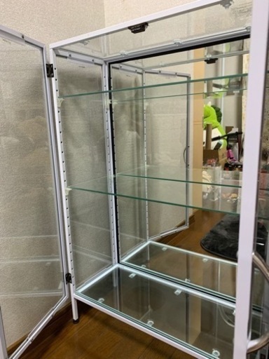 コレクションケース　コレクションボード　ホワイト