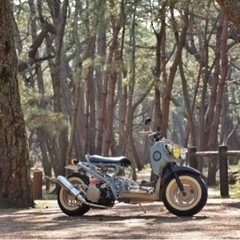 【決まりました】ホンダ　ズーマー　キャブ　ロンホイ　カスタム