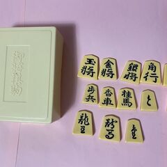 将棋の駒のみ