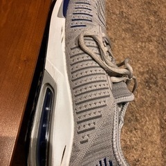 【早い者勝ち！無料！】ジョギングシューズの画像