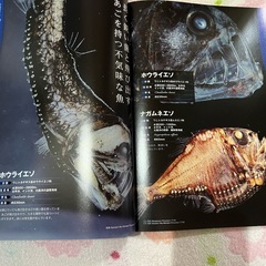深海生物大図鑑　別冊宝島の画像