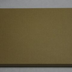 京都　餃子の王将　餃子皿　1枚　ノベルティ　非売品　未使用品　箱付きの画像