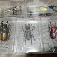 クワガタフィギュア