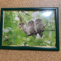 パズル　完成品　フクロウの画像