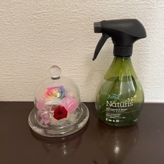 プリザードフラワーの画像