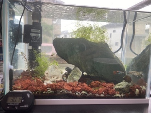 水族館
