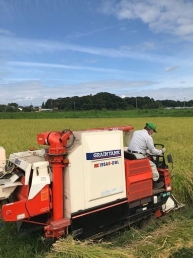 令和4年　新米コシヒカリ玄米30㌔